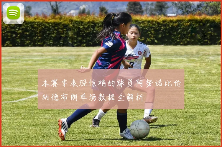 本赛季表现惊艳的球员阿努诺比伦纳德布朗单场数据全解析