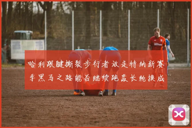 哈利跟腱撕裂步行者放走特纳新赛季黑马之路能否继续跑轰长轮换成关键