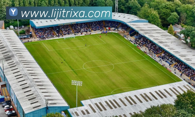 利记体育平台生态图